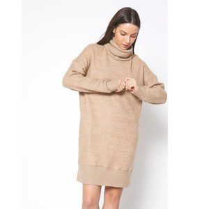 Turtle Neck Ribbed Sweater Mini Dress
